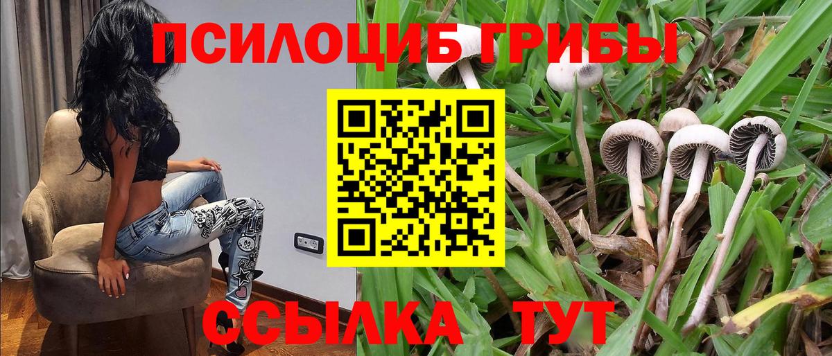 Лениногорск  цены   Вход с VPN  Псилоцибиновые грибы ЛСД 
